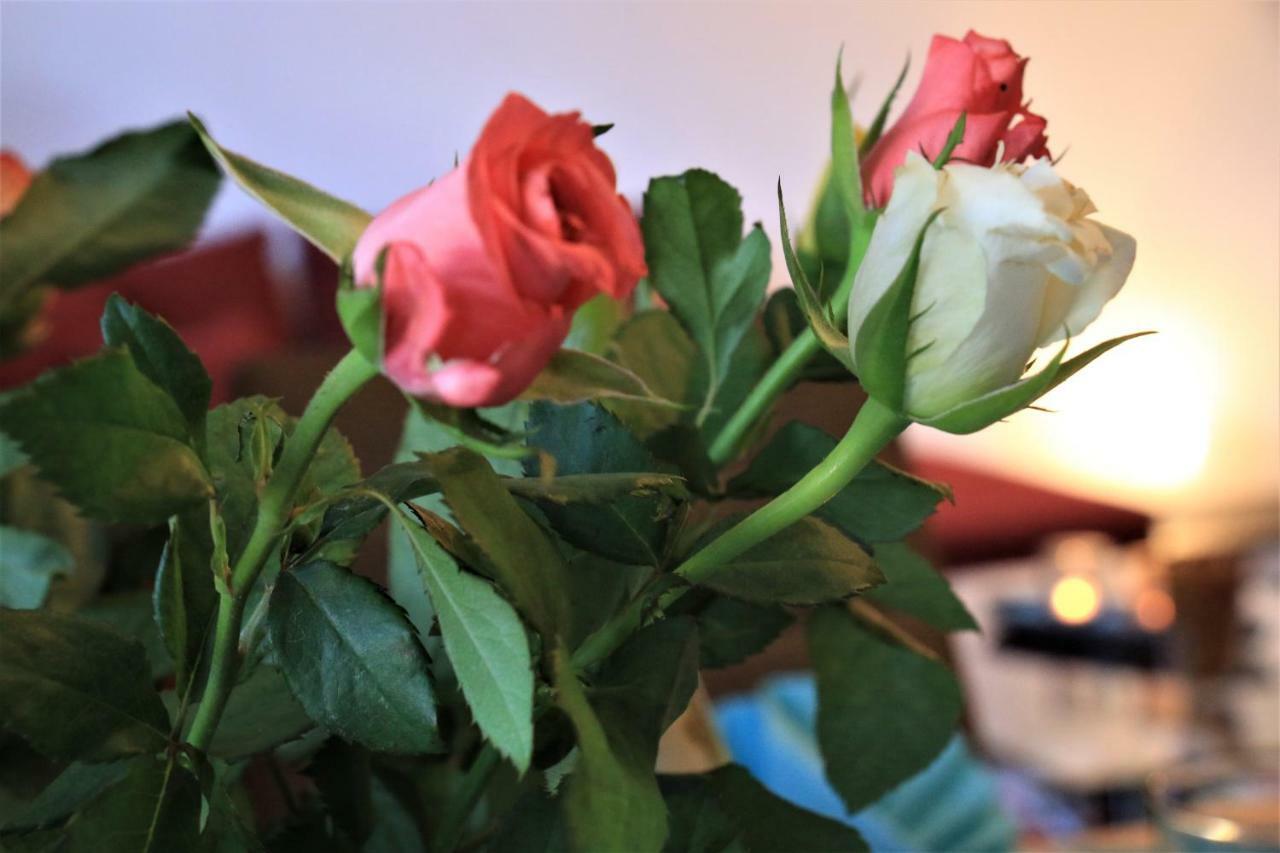 Apartmán Stellina Eitorf Exteriér fotografie
